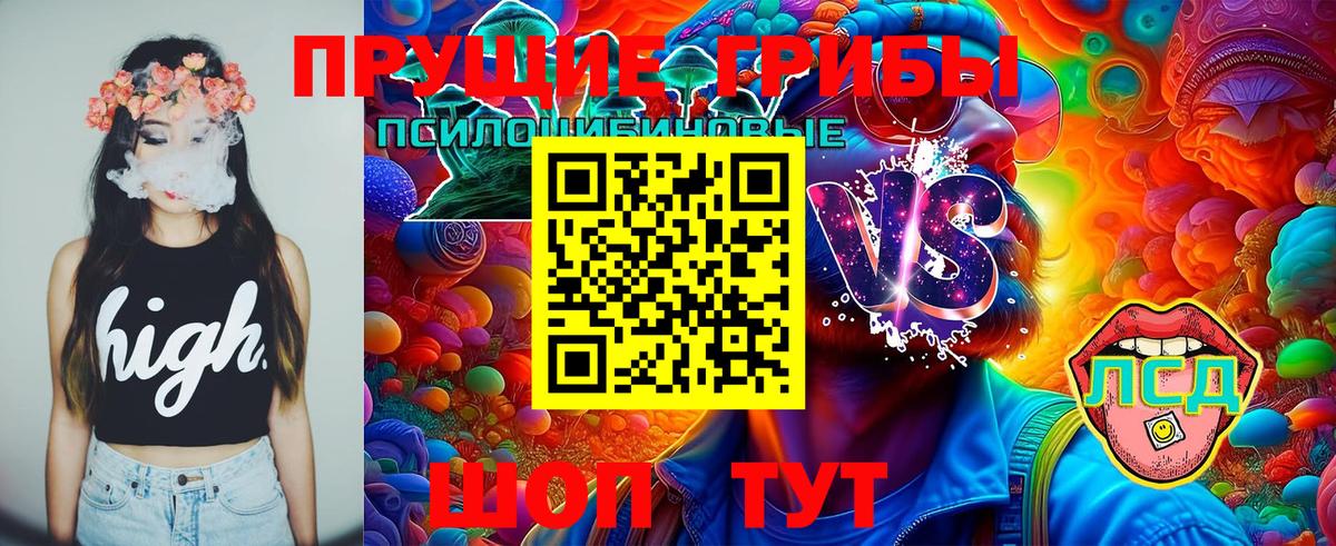 Псилоцибиновые грибы Cubensis Первоуральск
